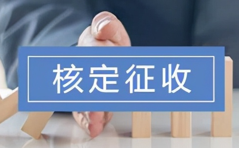 四川核定征收个人所得税政策2024，查账征收VS核定征收